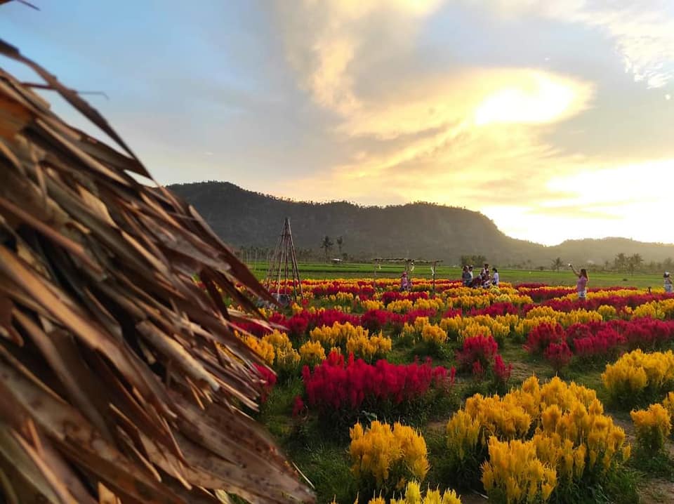 The colors of&nbsp;Irosin